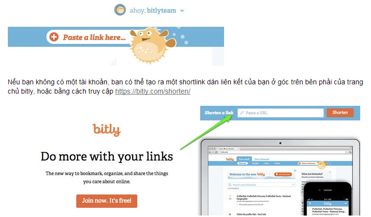 Seo lên top cùng bitly