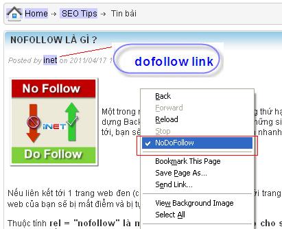 Kiểm tra Nofollow