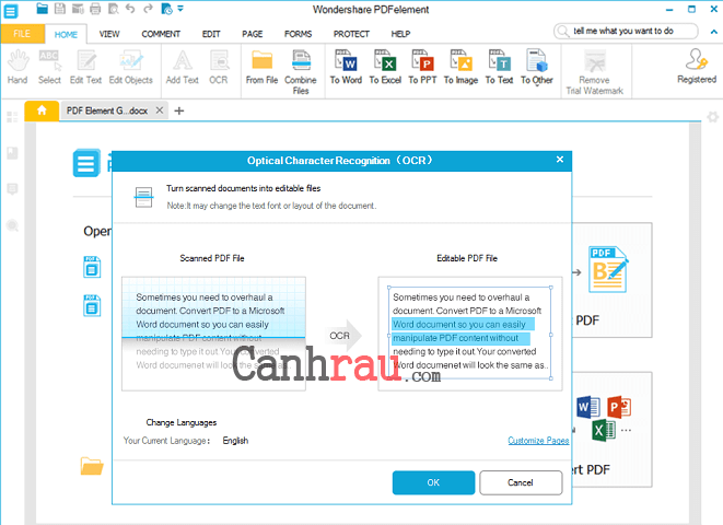 Phần mềm chuyển pdf sang word Nitro PDF to Word Converter