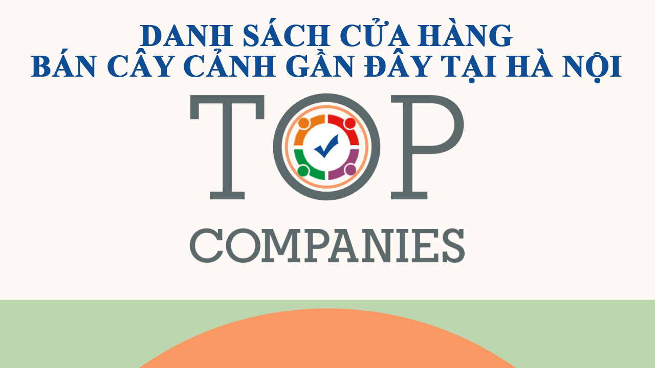 Cửa hàng bán cây cảnh gần đây tại Hà Nội