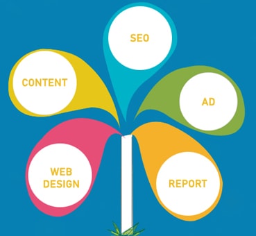 Cung cấp dịch vụ trọn gói về web Thiết kế Quảng cáo Seo hiệu quả