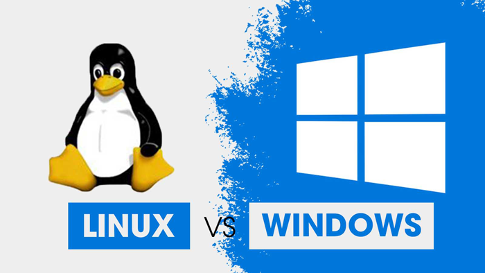 Hosting Linux và Hosting Windows