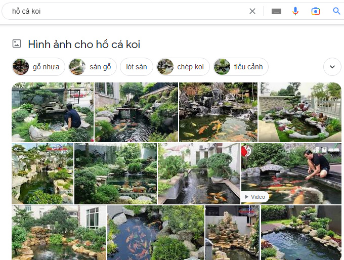 Thiết kế web hồ cá koi