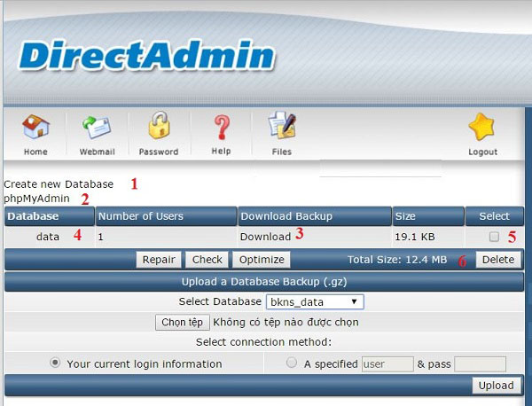 Hướng dẫn sử dụng directadmin