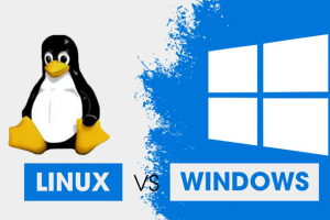 Sự khác biệt giữa Hosting Linux và Hosting Windows