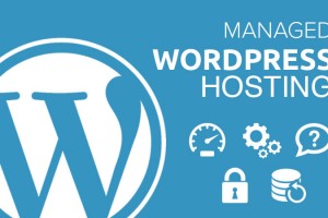 Hosting WordPress là gì Đăng ký hosting WordPress giá rẻ ở đâu