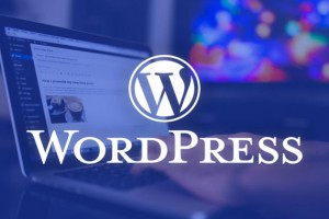 Hướng dẫn sử dụng WordPress cơ bản WordPress bán hàng