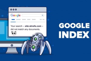 Làm sao để Google Bing index website nhanh nhất seo top nhanh nhất