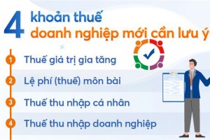 Thành lập công ty phải đóng những thuế gì tính các loại thuế phải nộp