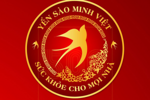 Thiết kế logo yến sào cao cấp tạo logo yến sào mẫu logo yến sào đẹp