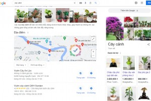 Thiết kế website bán cây cảnh Seo Quảng cáo Marketing ra đơn 100%