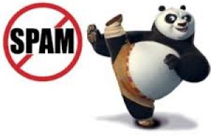 Bạn làm SEO có chú ý đến Google Panda và Google penalty không?