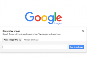 Cách sử dụng Reverse Image Search để có thêm backlink seo website