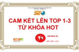 Khóa học seo cơ bản đưa website lên top 1 google Học seo từ khóa