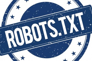 Tìm hiểu về file robots.txt File robots.txt là gì?