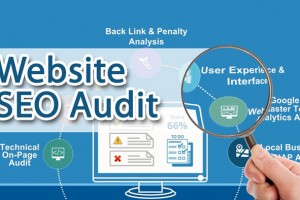 SEO audit là gì? Cách thực hiện SEO Audit