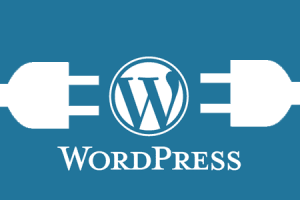SEO WordPress là gì? SEO Plugin cho WordPress