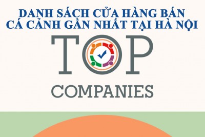 Danh sách web shop cửa hàng bán cá cảnh gần nhất tại Hà Nội