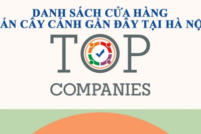 Danh sách web shop cửa hàng bán cây cảnh gần đây tại Hà Nội