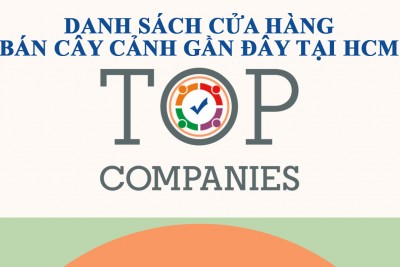 Danh sách web shop cửa hàng bán cây cảnh gần đây tại TPHCM