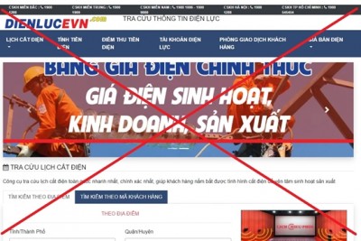 Nhiều web có doamin giả danh Tập đoàn Điện lực Việt Nam để lừa đảo