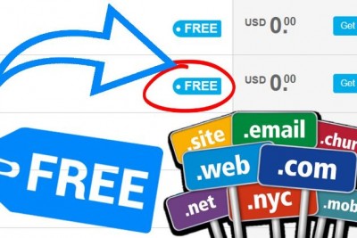 Tên miền miễn phí cho blog website hosting miễn phí dùng vĩnh viễn