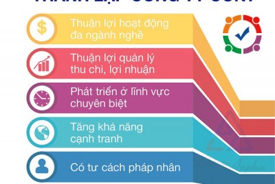 Thành lập công ty con hướng dẫn Thủ tục Hồ sơ Quy định