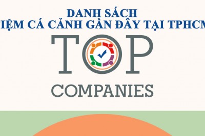 Danh sách shop cửa hàng web tiệm cá cảnh gần đây tại TPHCM