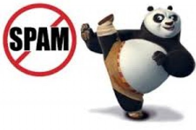 Bạn làm SEO có chú ý đến Google Panda và Google penalty không?