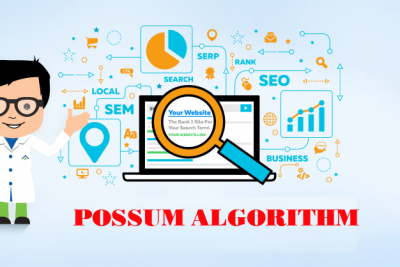 Google cập nhật thuật toán Possum? có ảnh hưởng đến seo web hiện nay