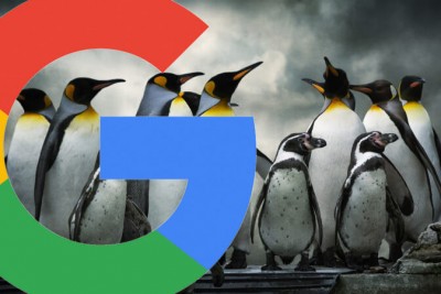 Google thông báo gỡ bỏ một phần hình phạt Penguin cho web