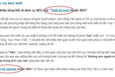 Seo onpage cho nội dung bài viết Seo onpage là gì?